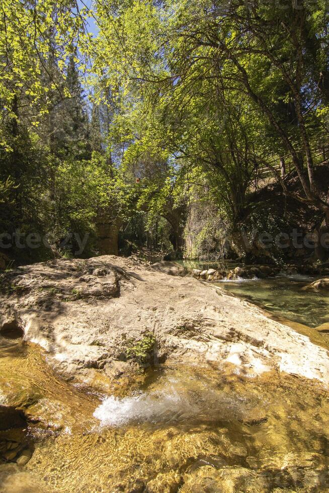 paisajes y caminos de el hermosa naturaleza de el sierra Delaware cazorla, jaén, España. naturaleza vacaciones concepto. foto