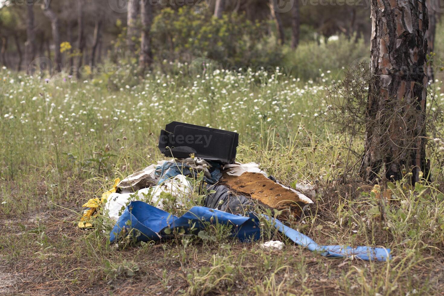 Garbage in nature, in a pine forest. Domestic pollution is becoming more serious, with an overpopulation. photo