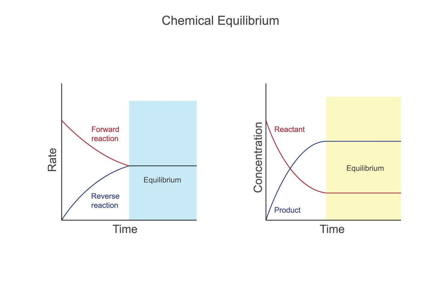 Chemical equilibrium is a dynamic state where the rates of forward and reverse reactions are equal, resulting in a constant concentration of reactants and products. vector