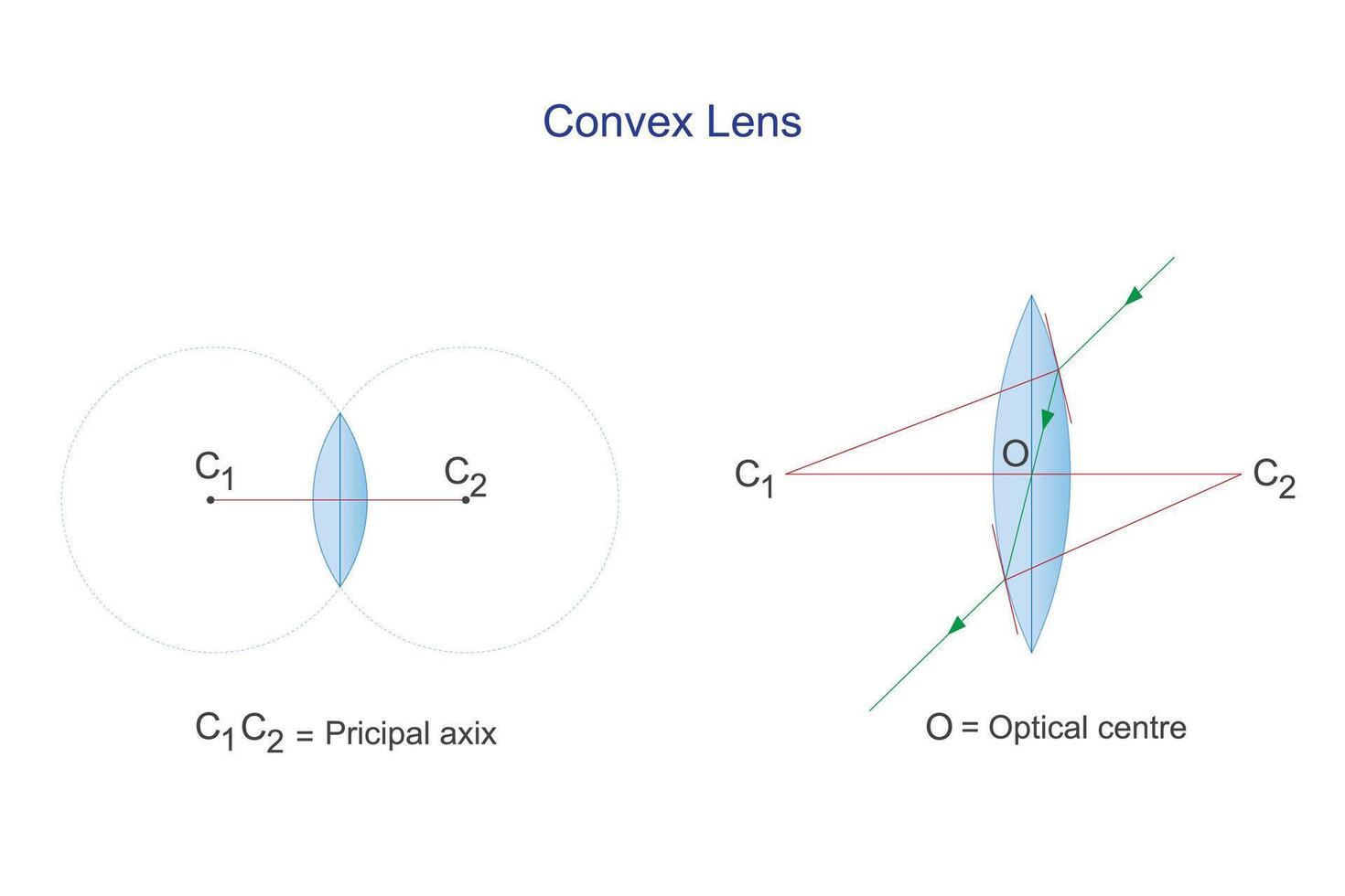 Convex lens. Principal axix and optical centre. Optics. Physics vector illustration.