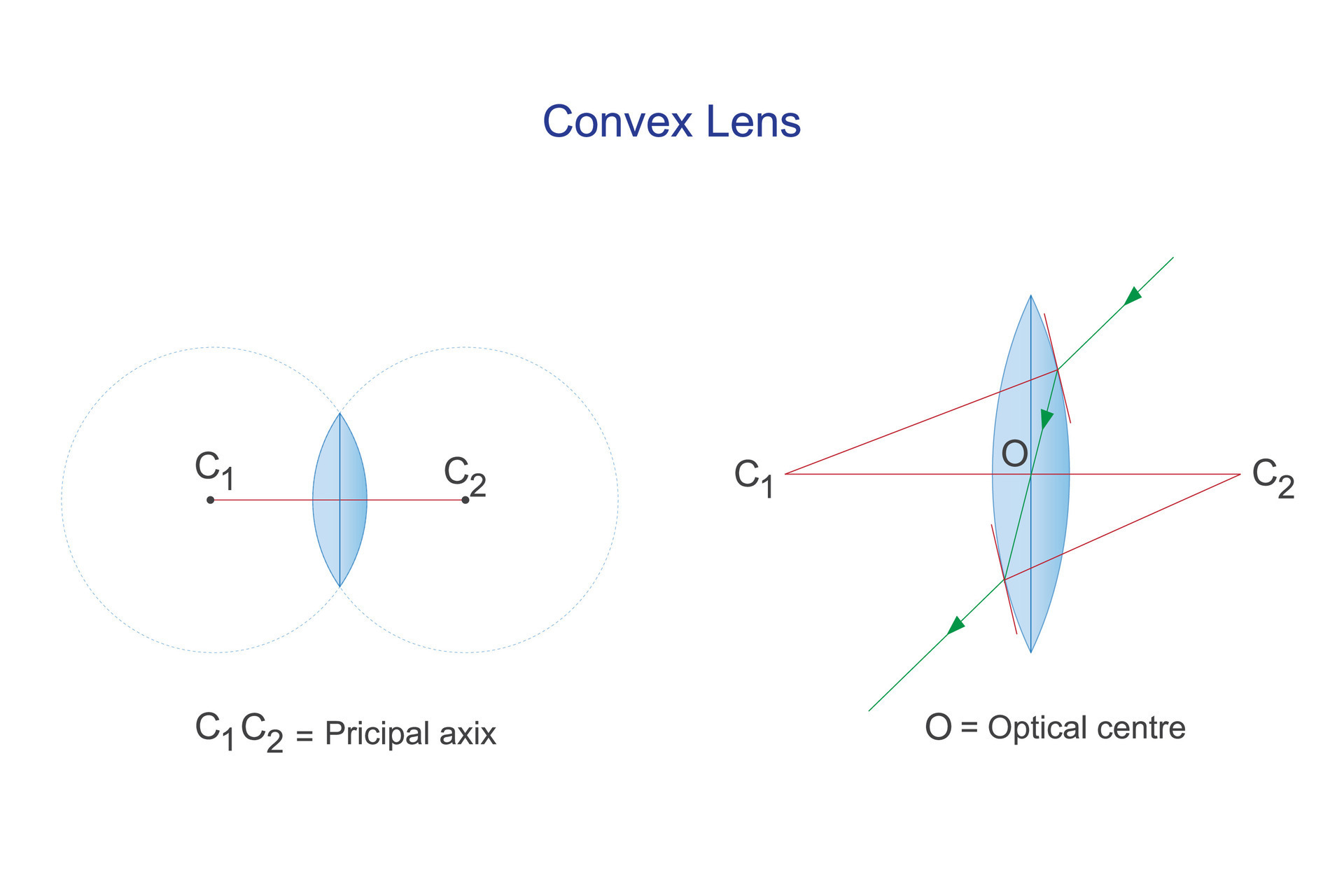 Convex lens. Principal axix and optical centre. Optics. Physics vector