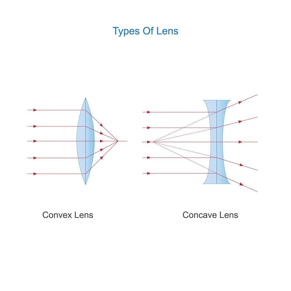 tipos de lente. convexo y cóncavo lente. física vector ilustración.