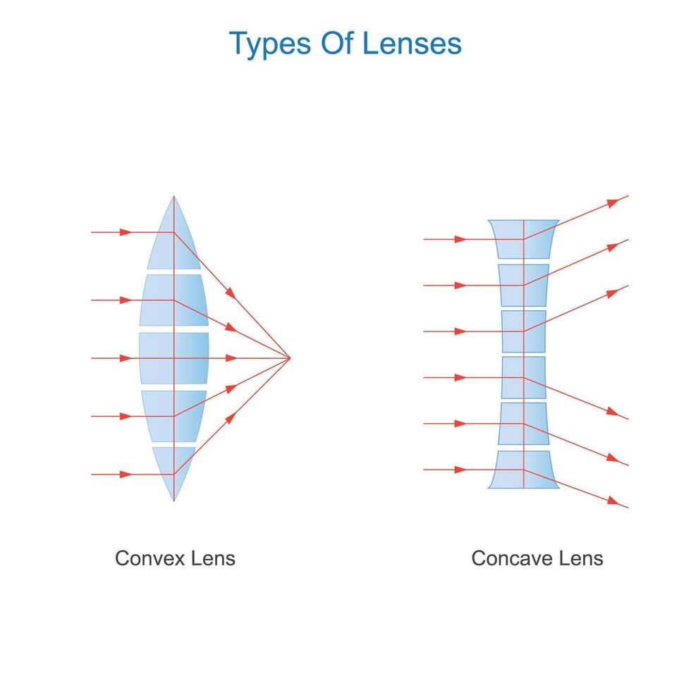 convexo y cóncavo lentes. tipos de lentes. física ilustración. vector