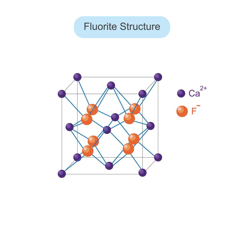 Fluorite structure, CaF2 structure. Solid state chemistry illustration. crystalline solid. vector