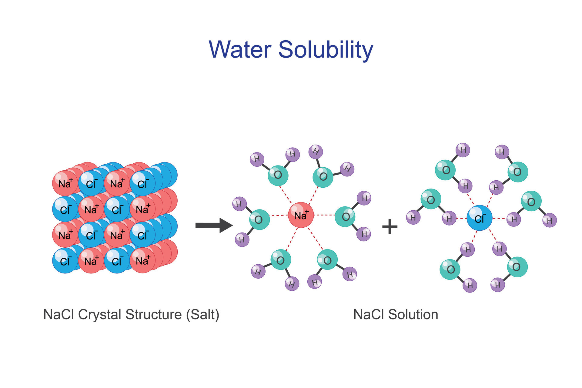 Water solubility of sodium chloride NaCl or salt. Aquous solution of