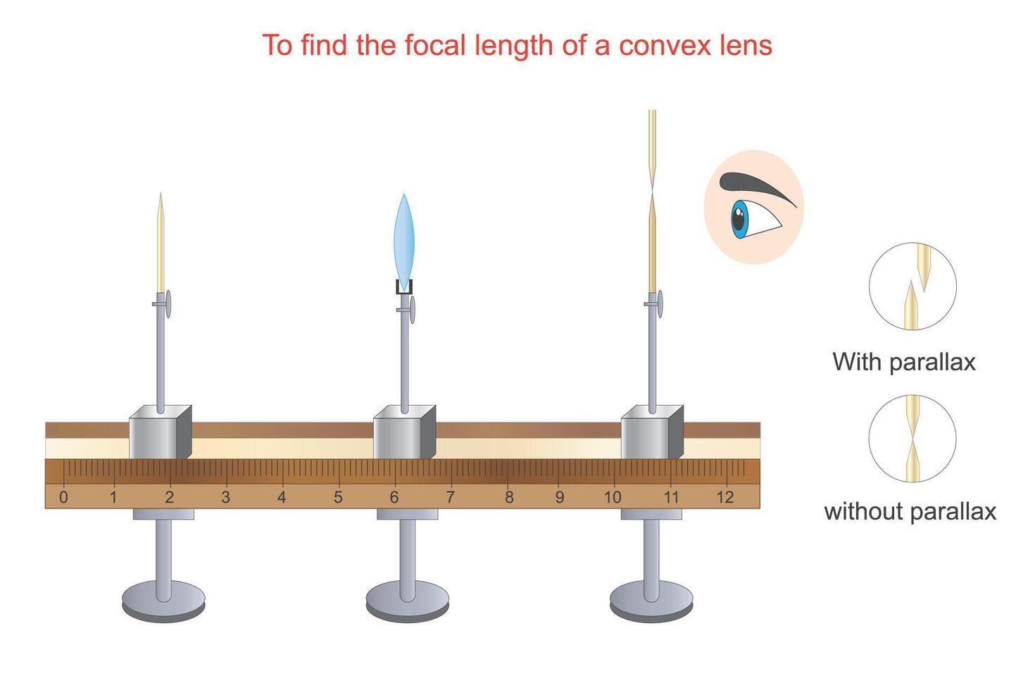 To find the focal length of a convex lens. Physics practical illustration.Science project. vector