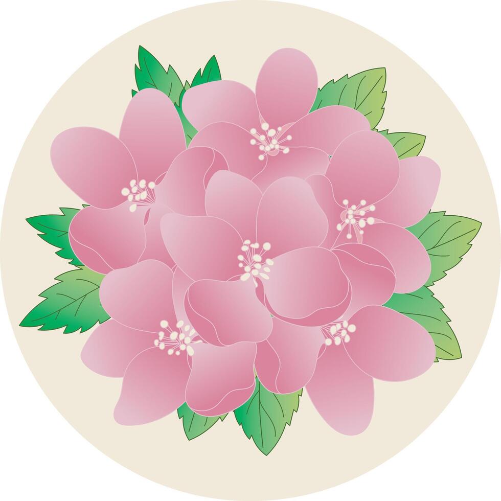 Illustration, cherry blossom flower on soft yellow background. vector