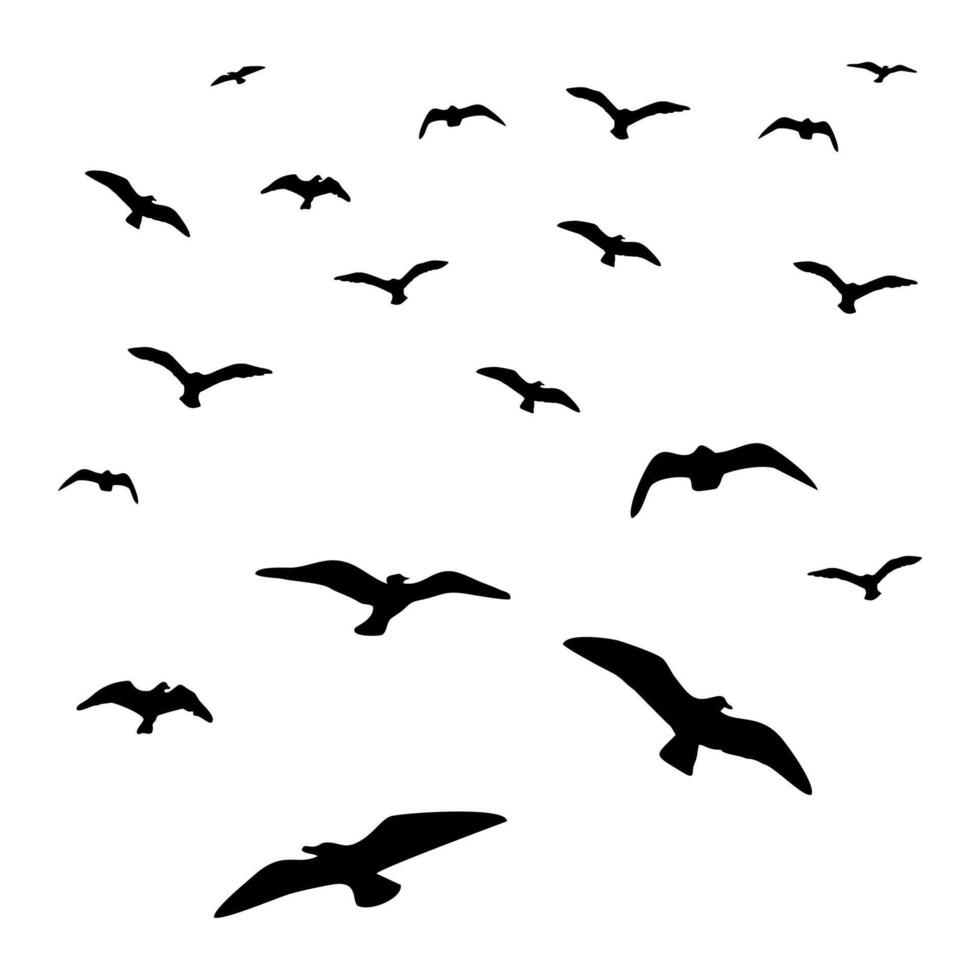 aves dando vueltas en el cielo, negro vector