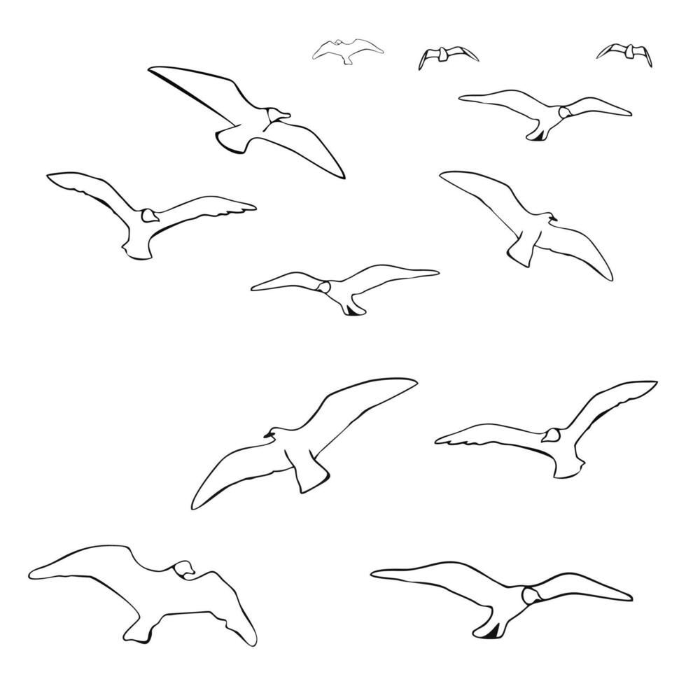 aves circulo en el cielo vector