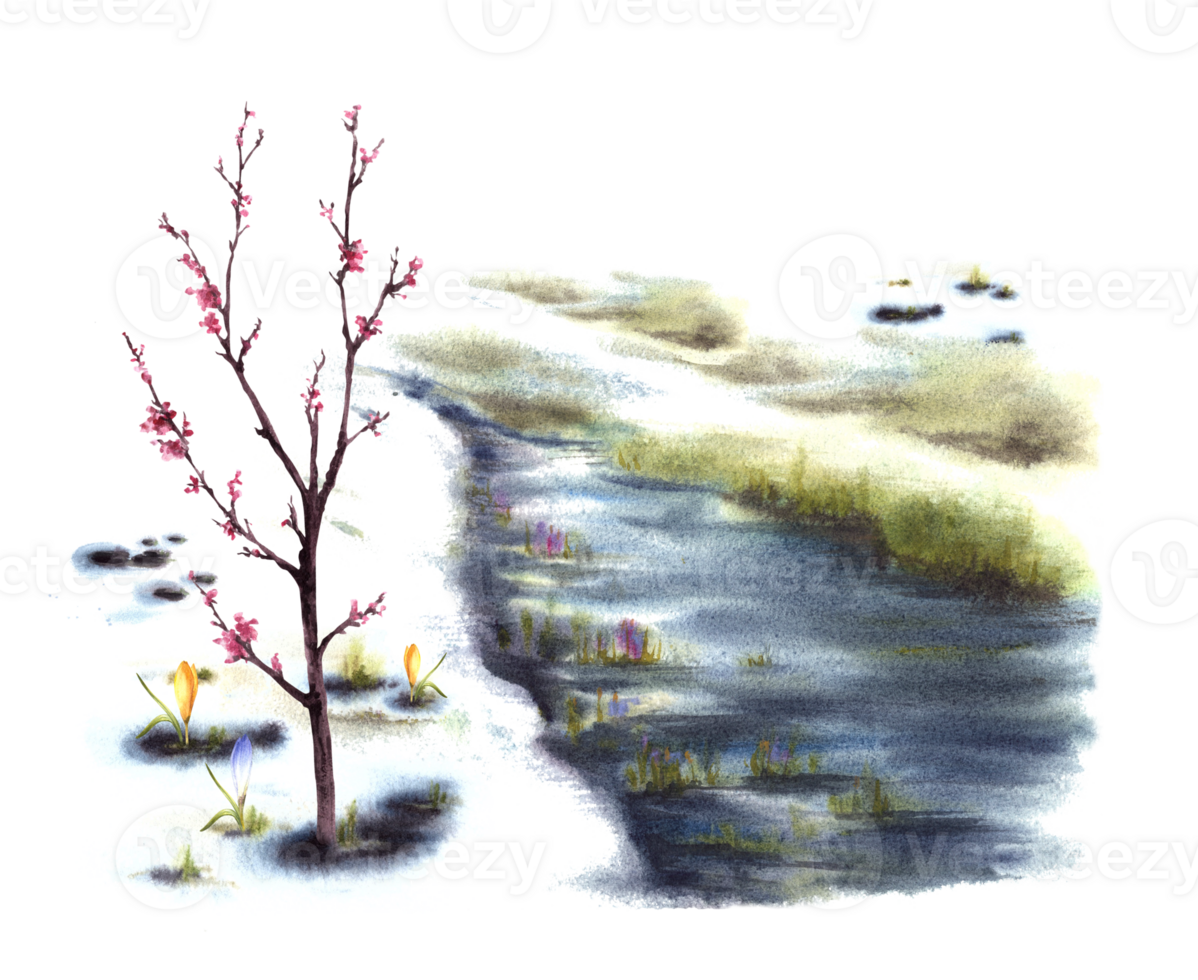 waterverf landschap primair planten bloemen, bloeiende voorjaar bomen van kers, sakura of abrikoos, stroom, de eerste gras breken door de sneeuw. hand- geschilderd clip art achtergrond png