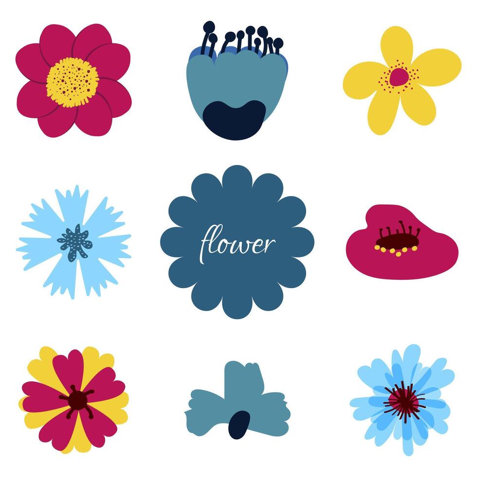 Vector collection of colorful flowers on white background