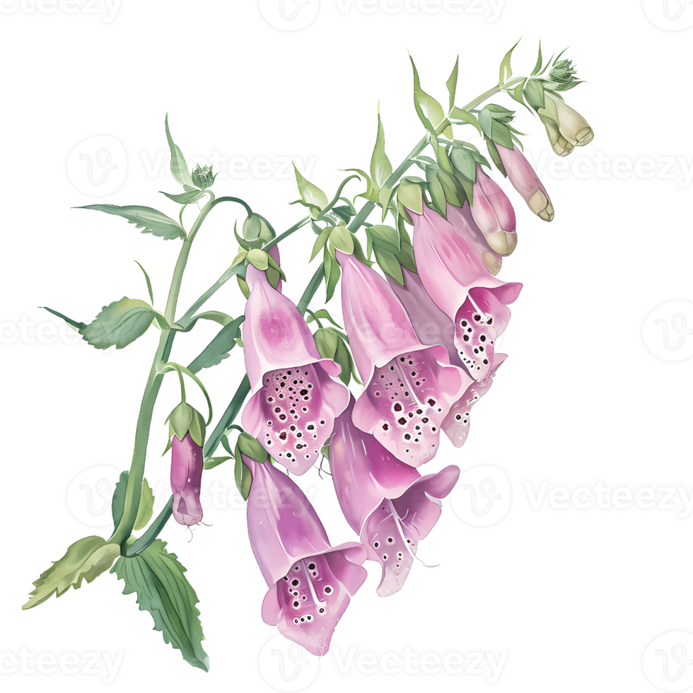 AI generated Beautiful bunch of foxglove watercolor illustration. png