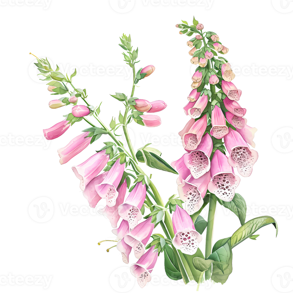 AI generated Beautiful bunch of foxglove watercolor illustration. png