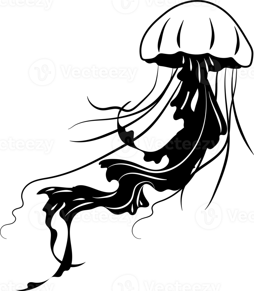 Line art one line jellyfish for decoration design png