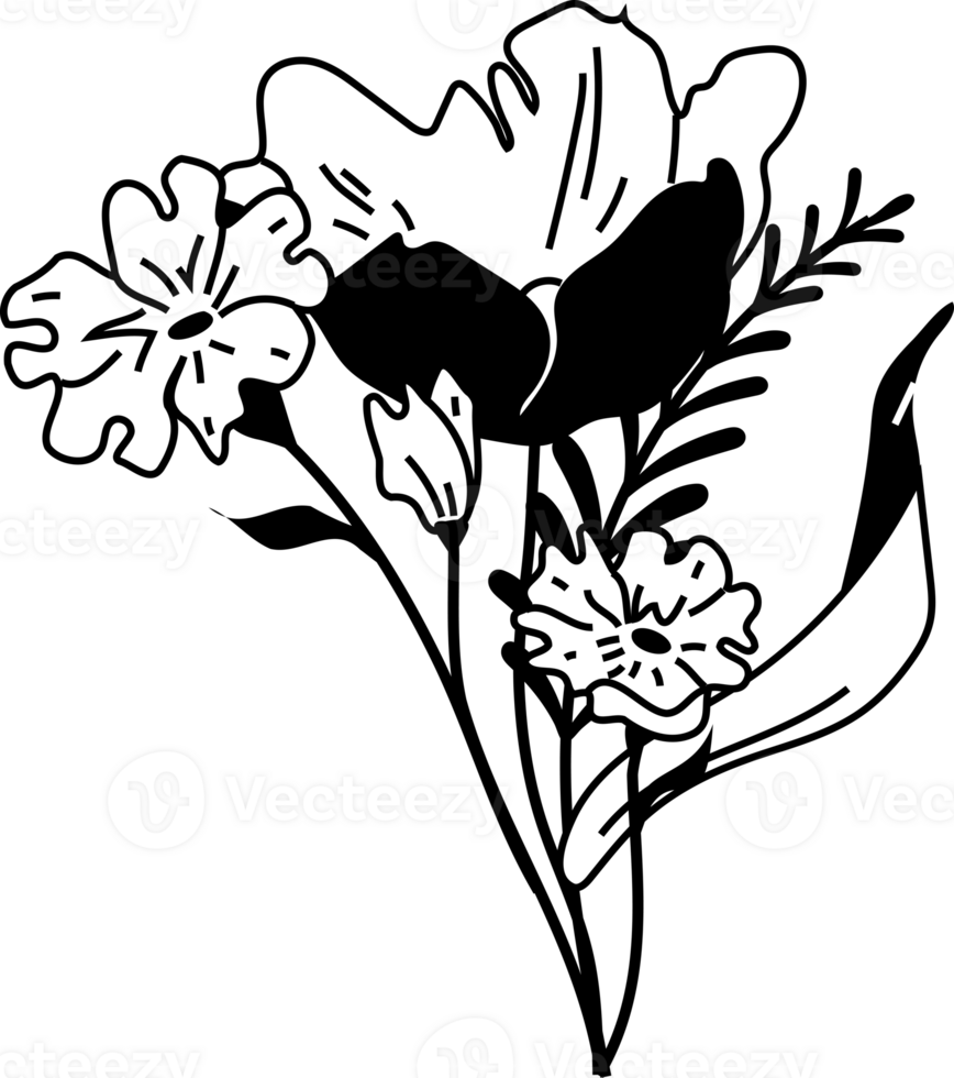 Line art of Bouquets. Trendy botanical elements. Wild flowers and leaves png