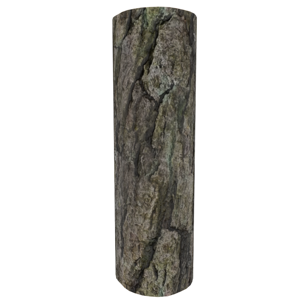 Wood log isolated on transparent png