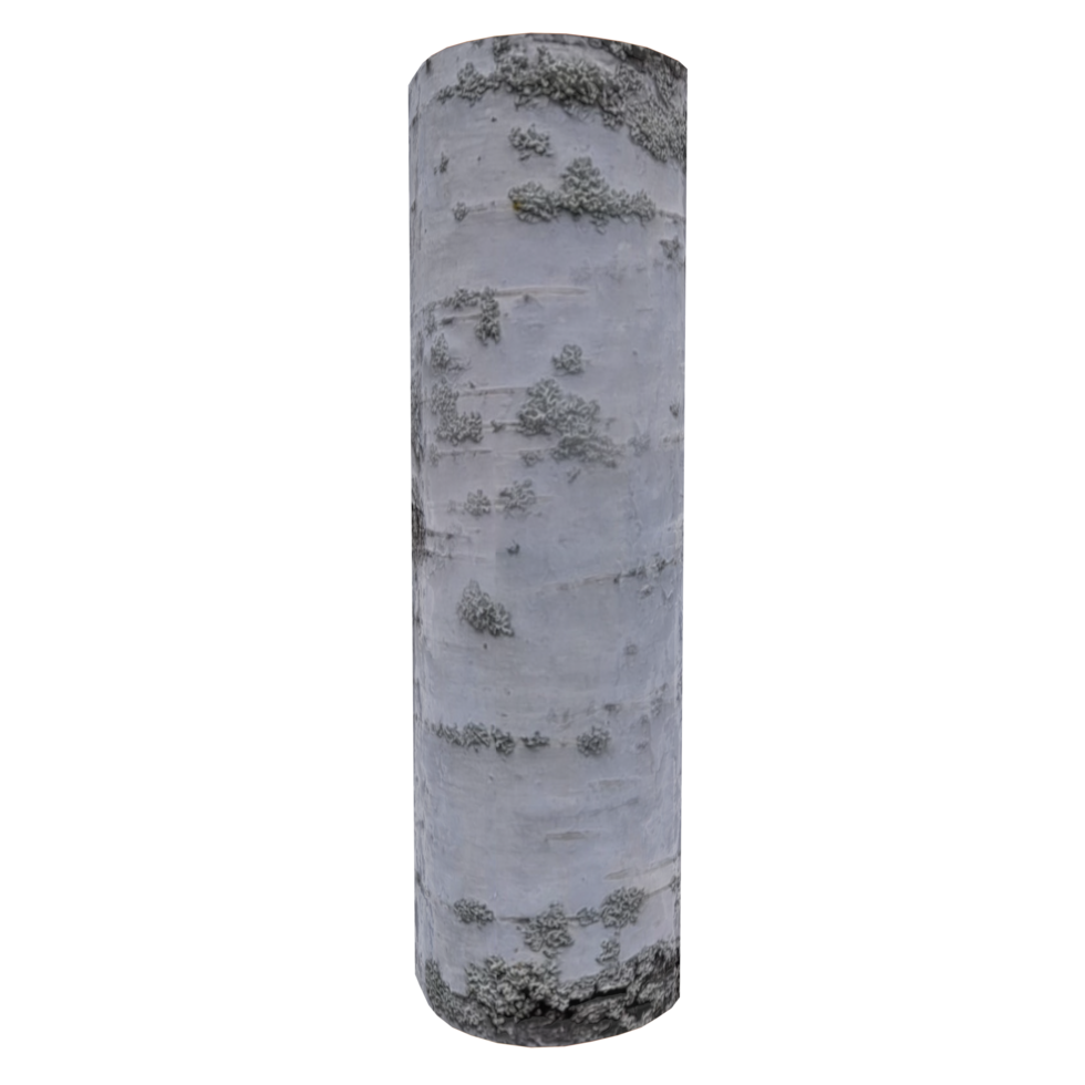 Wood log isolated on transparent png