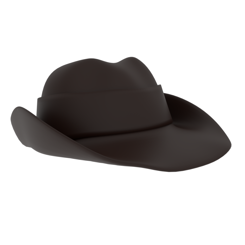 vaquero sombrero aislado en transparente png