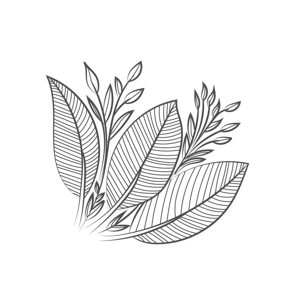 Free Vector graphical line art design of flower illustration for coloring page design