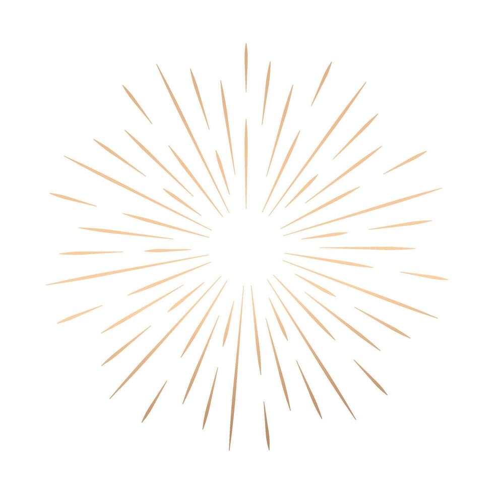 fireworks symbol icon on white background vector