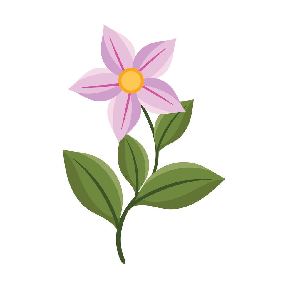 Vector hand drawn flower illustration on white