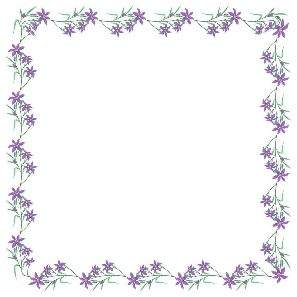 Vector hand drawn floral frame on white background