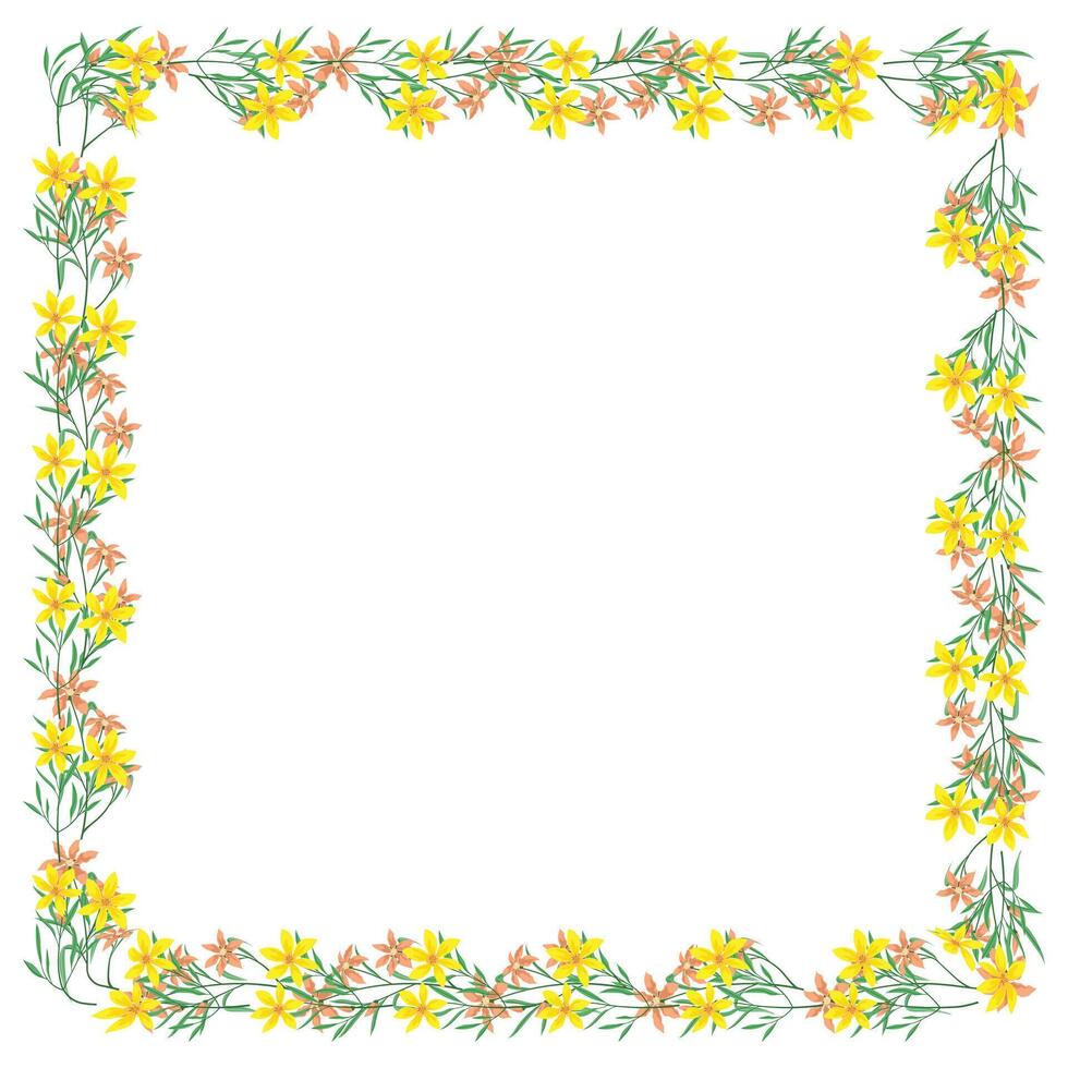 Vector hand drawn floral frame on white background