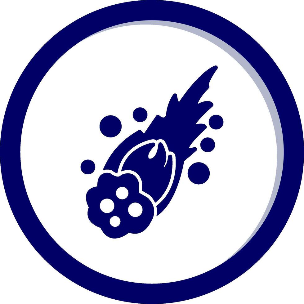 Meteor Vecto Icon vector