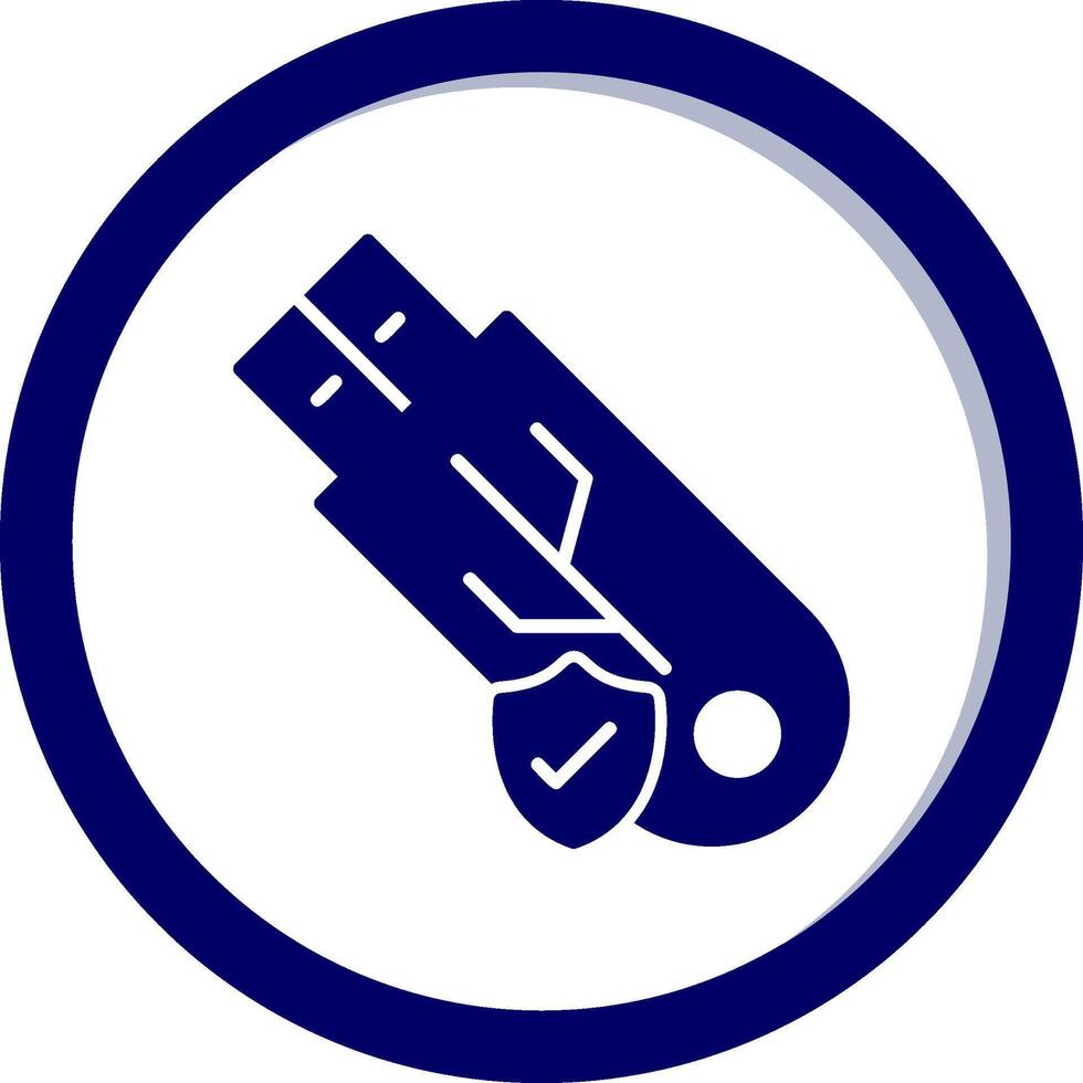 Usb Secure Vecto Icon vector