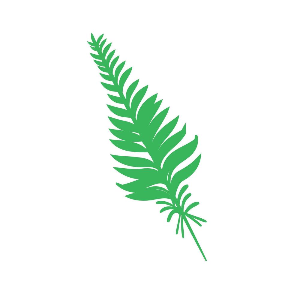 fresh fern leaves isolated on white background vector