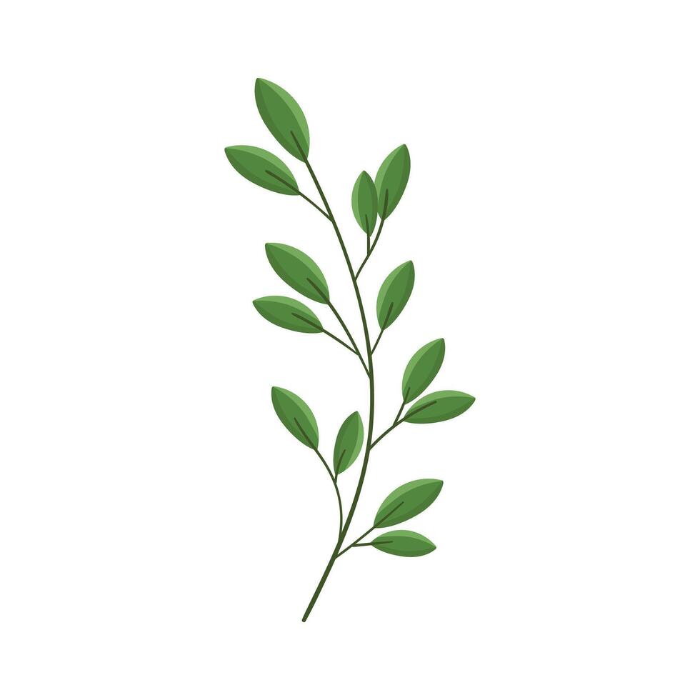 Vector hand drawn branch with leaves isolated on white background