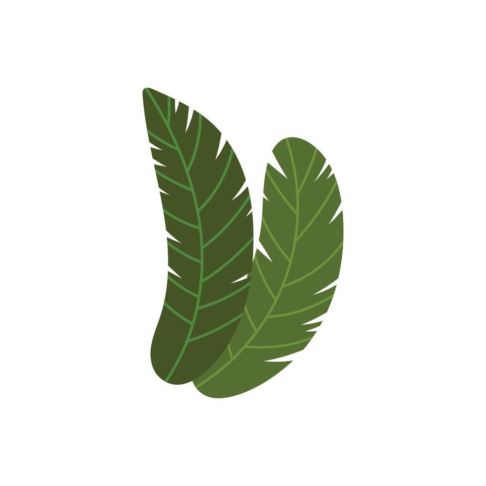 vector monochromatic tropical leaves on white