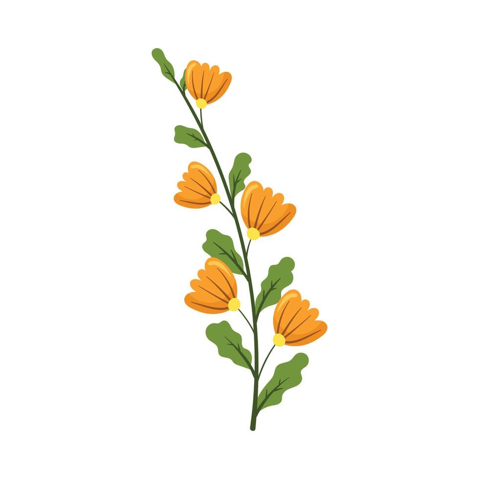 Vector hand drawn flower illustration on white