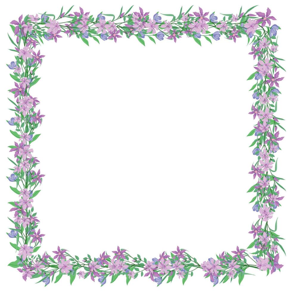 Vector hand drawn floral frame on white background