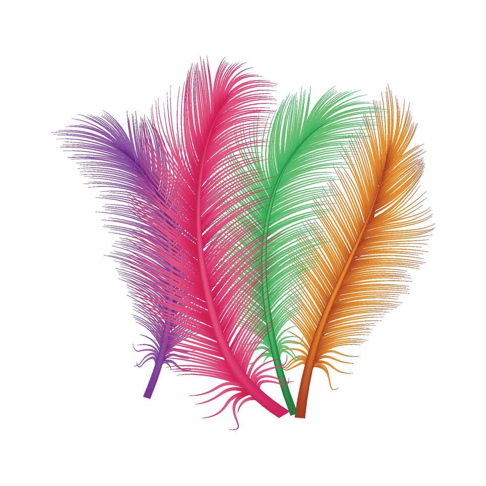 vector feathers isolated on white background