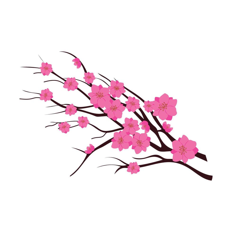 Vector cherry blossom branch on white background