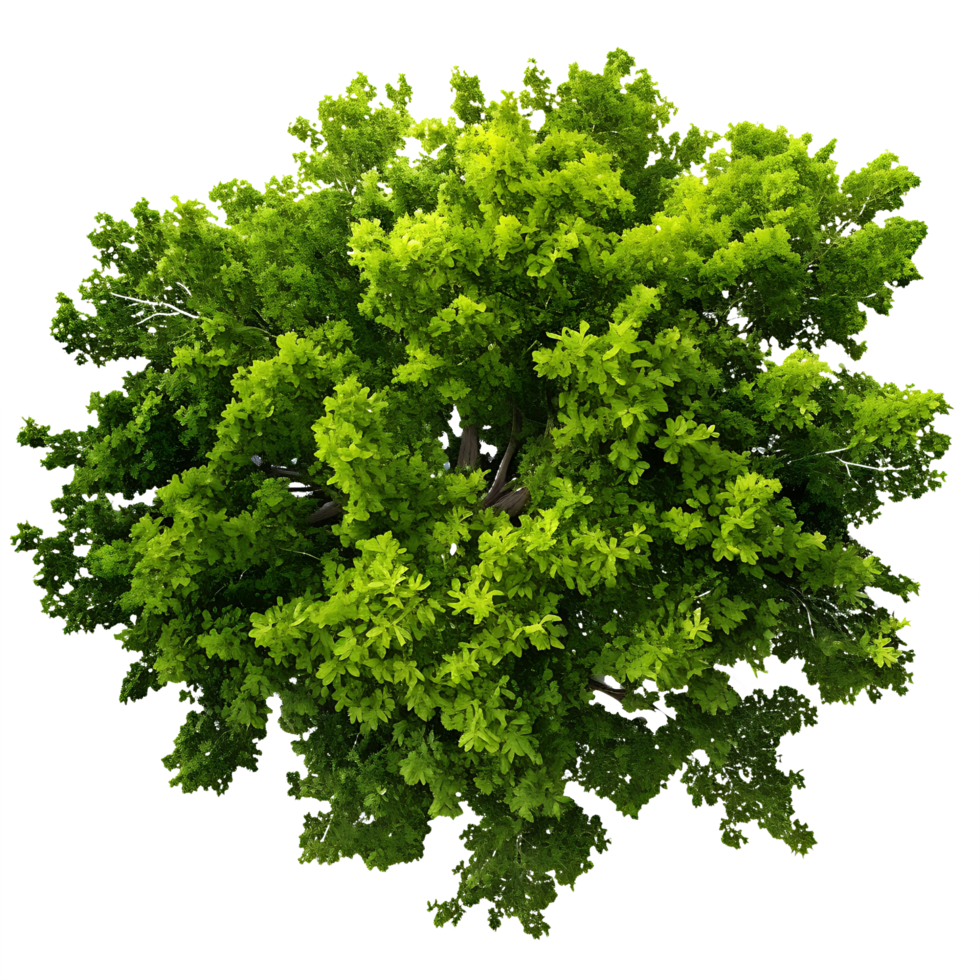 AI generated Clear Sky and Greenery Top View Landscape Cut Out png