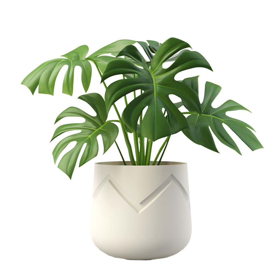 AI generated Isolated Monstera Foliage in a Pot on Clear Background png