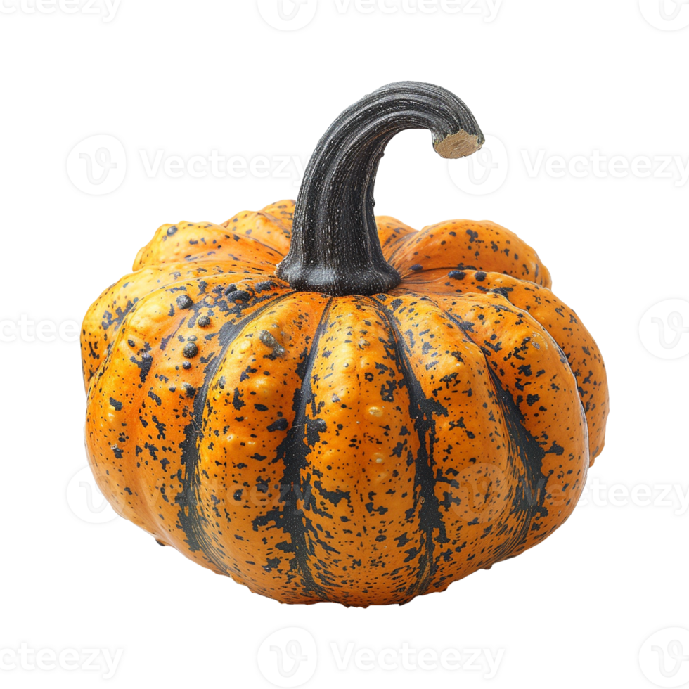 AI generated realistic pumpkin isolated on transparent background png