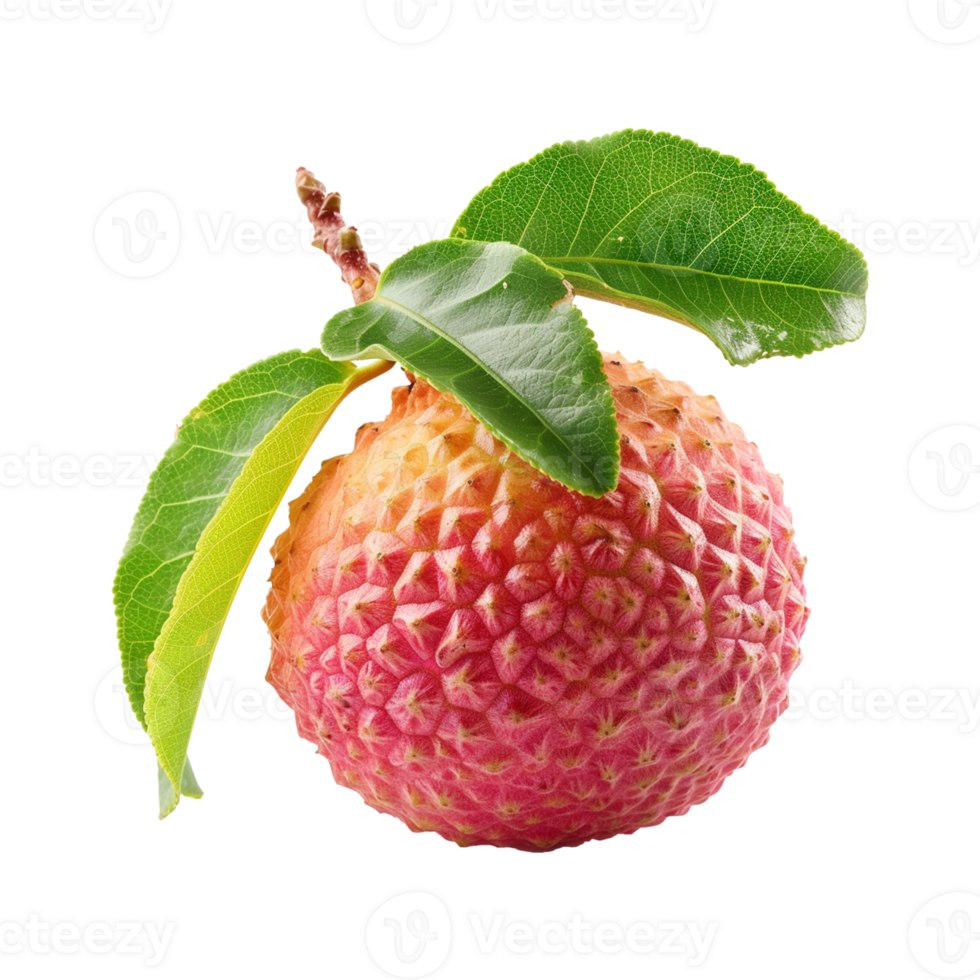 ai genererad litchi frukt isolerat på transparent bakgrund png