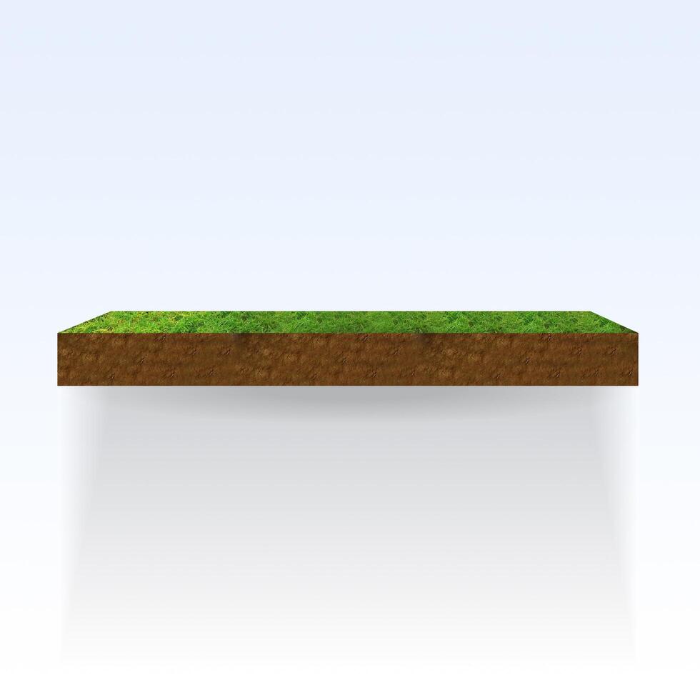 3D Scene with Vibrant Grass and Earthy Soil photo