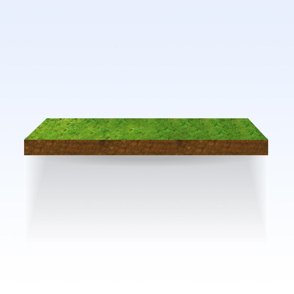 3D Scene with Vibrant Grass and Earthy Soil photo