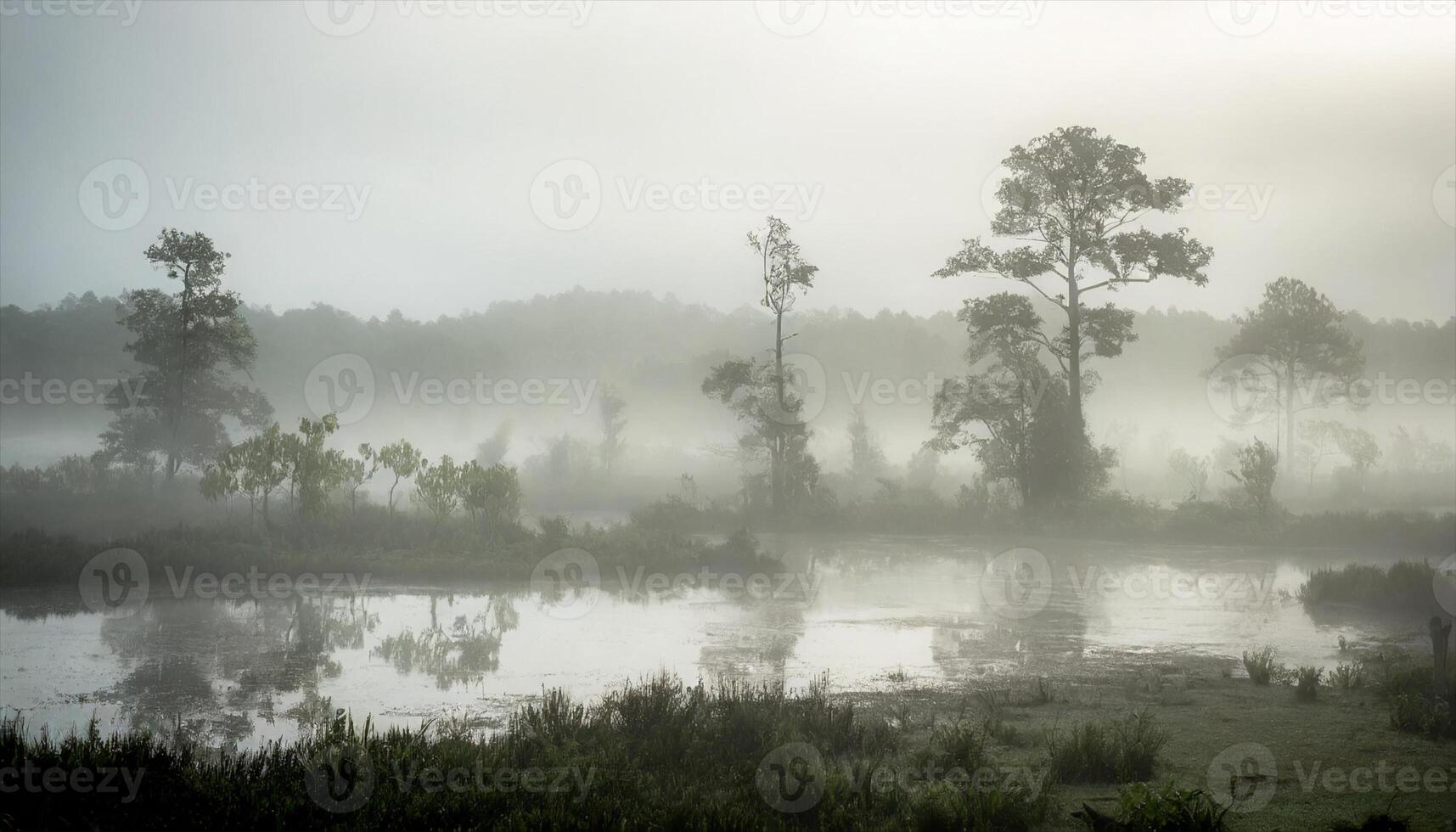 AI generated a misty morning in the swamp photo