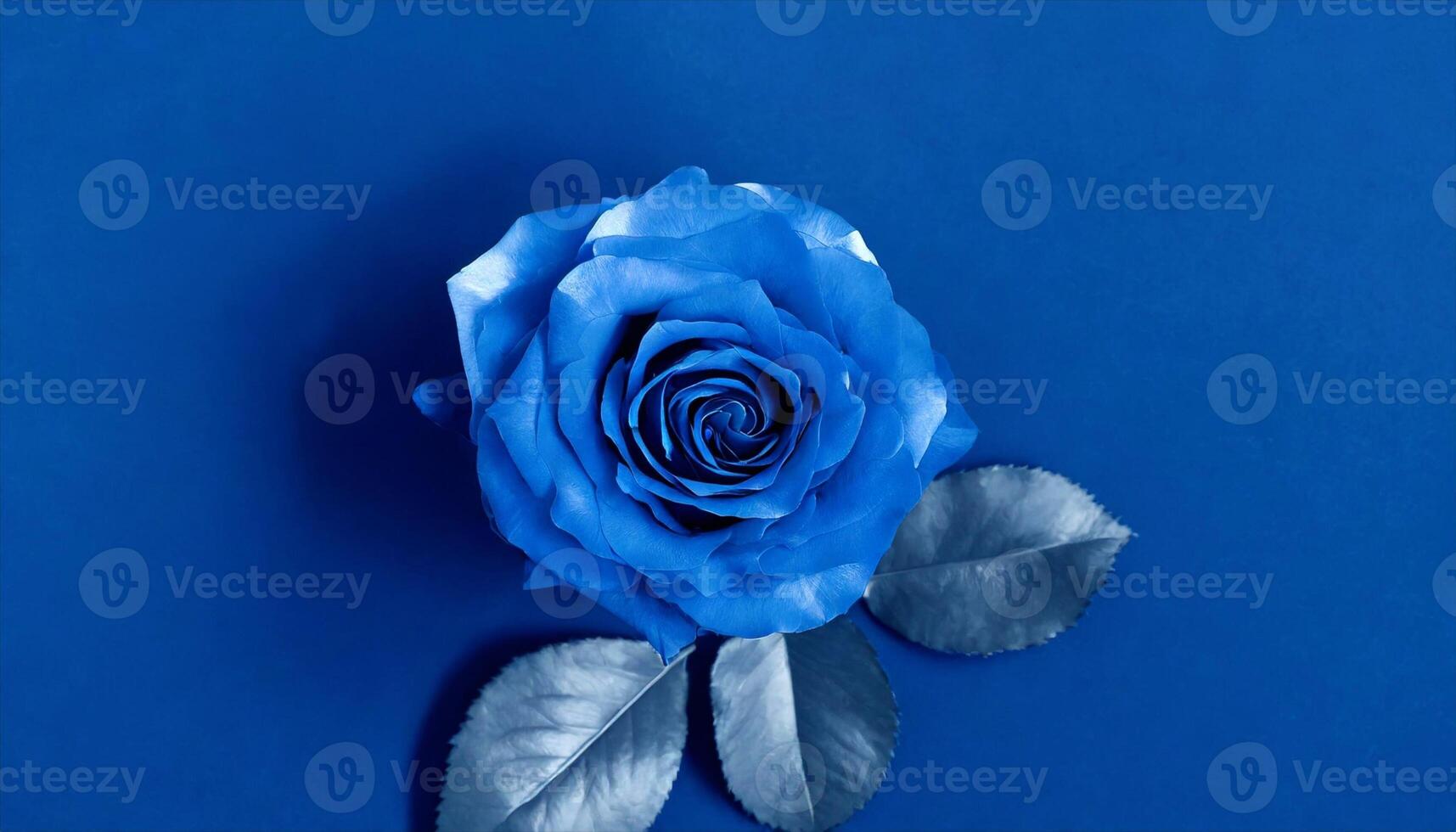 AI generated rose flower isolated on blue photo