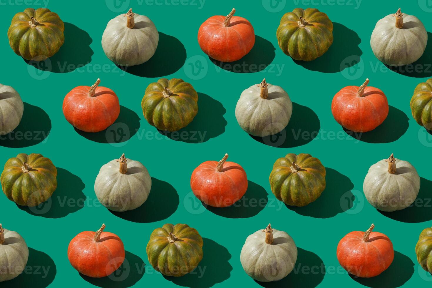 Pattern of pumpkins background. Autumn harvest. Pumpkin. Thanksgiving Day. Food for Halloween photo