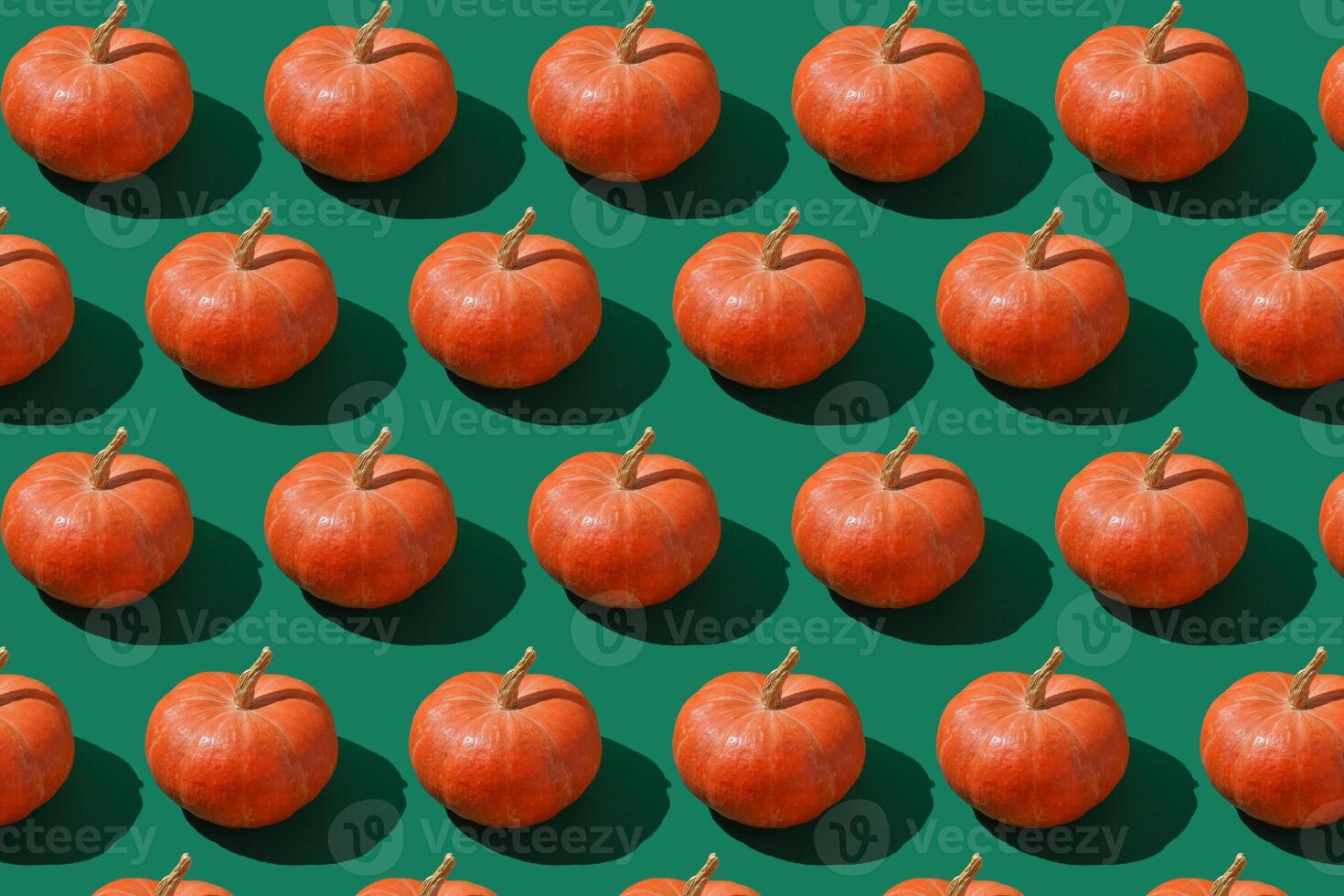 Pattern of pumpkins background. Autumn harvest. Pumpkin. Thanksgiving Day. Food for Halloween photo