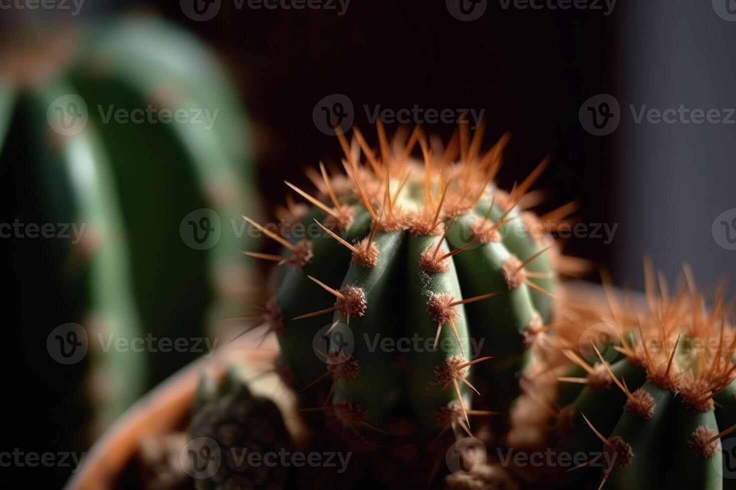 AI generated Potted cactus plant closeup. Generate ai photo