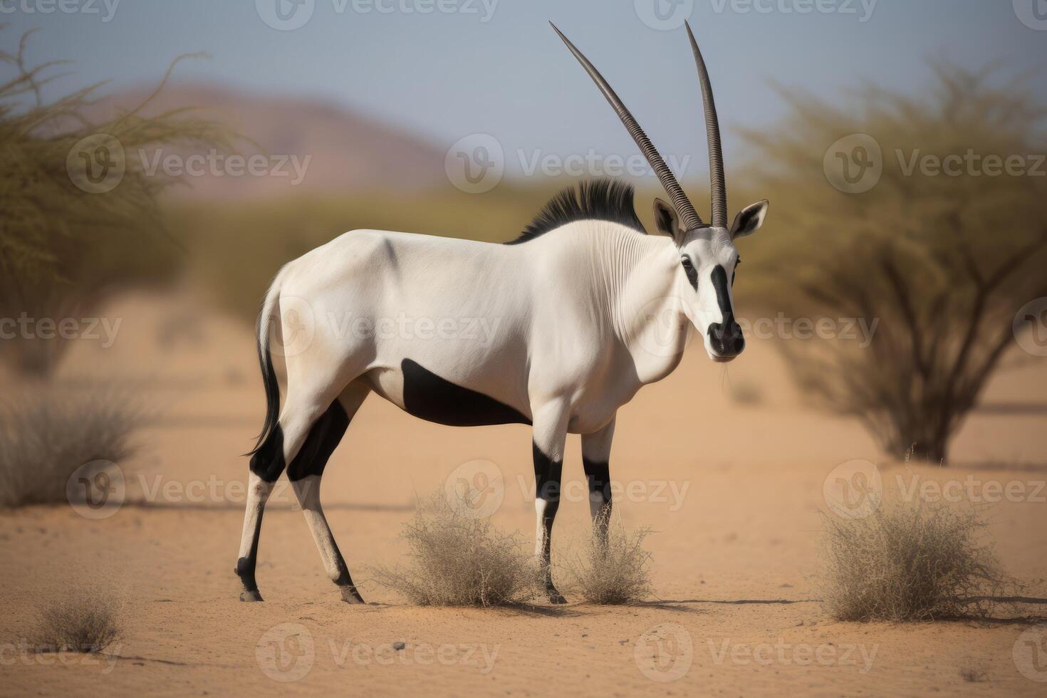 AI generated Oryx antelope wild safari reservation. Generate ai photo