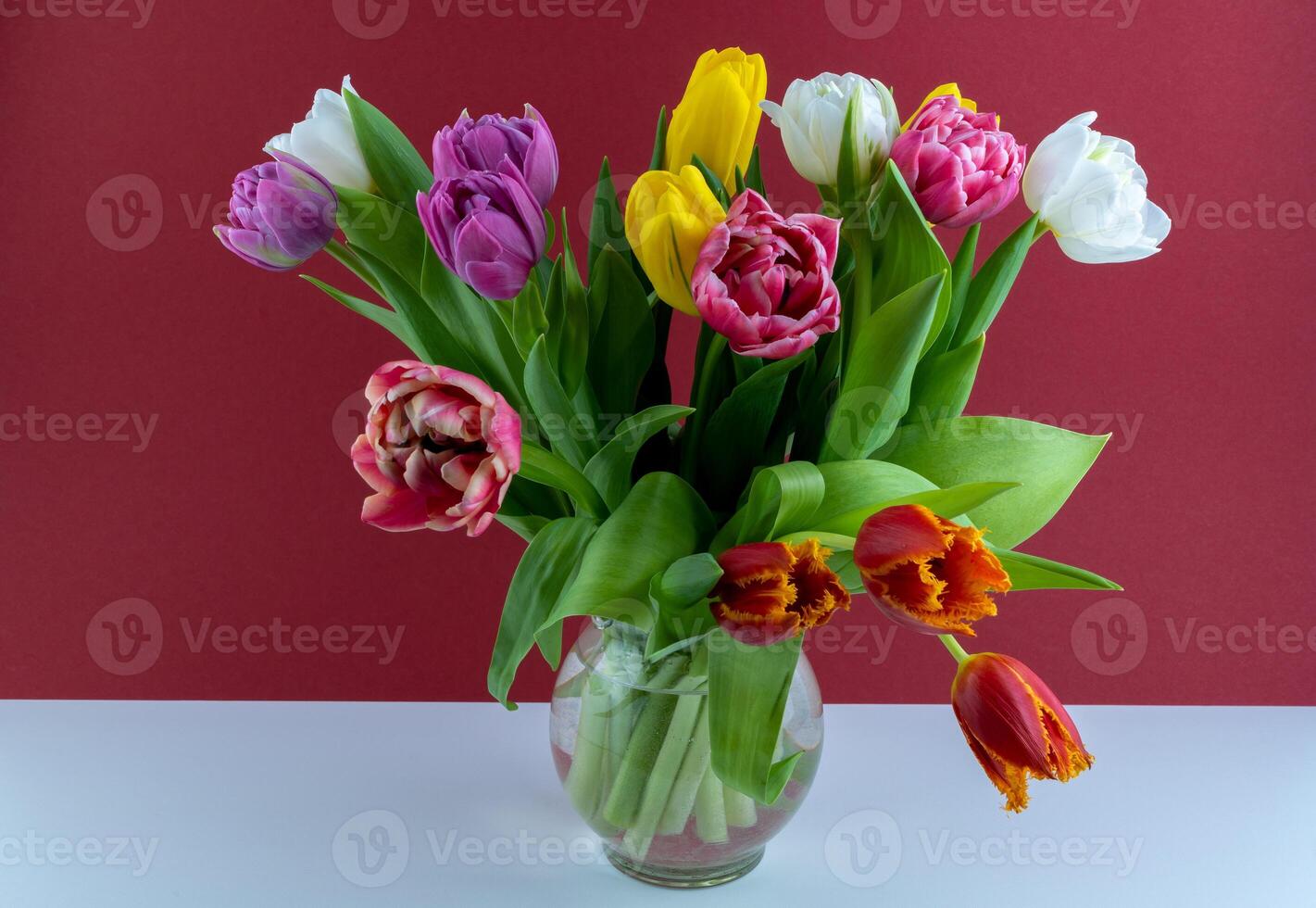 Bouquet of colorful tulips. Tulip spring flower. Floral flowers background photo