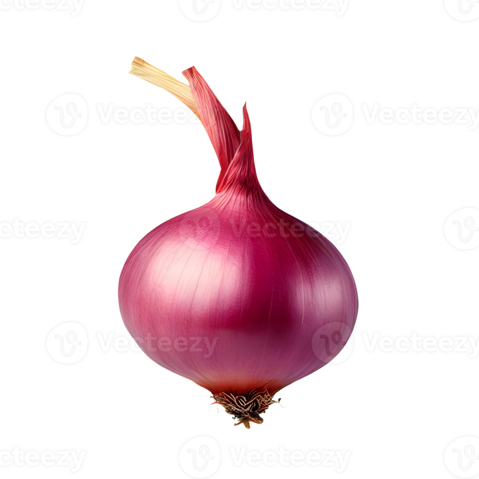 AI generated Shallots isolated on transparent background png